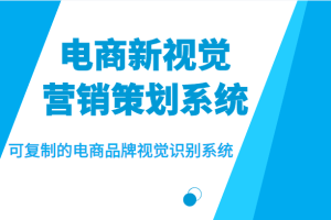 电商新视觉营销策划系统，可复制的电商品牌视觉识别系统