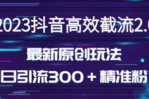 日引300＋创业粉，独家抖音高效截流2.0玩法（价值1280元）