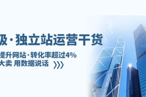 亿级·独立站运营干货：全面提升网站·转化率超过4%，轻松大卖 用数据说话