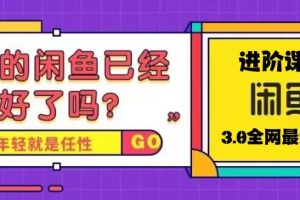 火爆全网的咸鱼玩法进阶课程，单号日入1K的咸鱼进阶课程