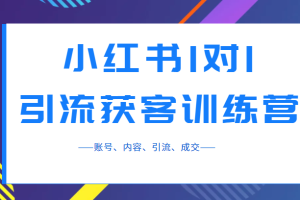 小红书1对1引流获客训练营：账号、内容、引流、成交（价值3999元）