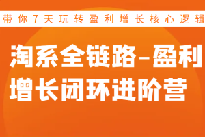 淘系全链路-盈利增长闭环进阶营，带你7天玩转盈利增长核心逻辑