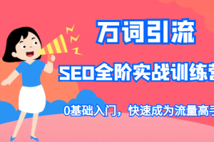 万词引流-SEO全阶实战训练营，0基础入门，快速成为流量高手