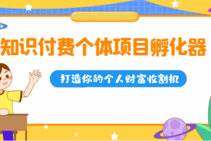 知识付费个体项目孵化器，打造你的个人财富收割机（价值1680元）