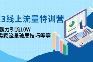 2023线上流量特训营：包含暴力引流10W+中小卖家流量破局技巧等等