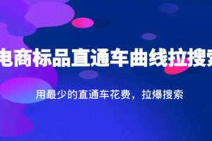 电商标品直通车曲线拉搜索，用最少的直通车花费，拉爆搜索