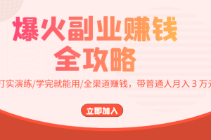 爆火副业赚钱全攻略：实打实演练/学完就能用/全渠道赚钱，带普通人月入３万元！