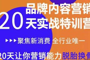 《内容营销实操特训营》20天让你营销能力脱胎换骨（价值3999）