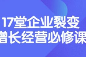 盈利增长17堂必修课，企业裂变增长的经营智慧，带你了解增长的本质