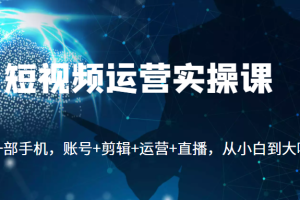 短视频运营实操课，一部手机，账号+剪辑+运营+直播，从小白到大咖