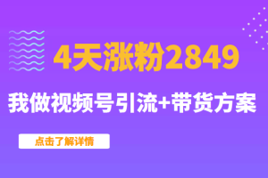 某公众号付费文章：4天涨粉2849，我做视频号引流+带货方案（无水印）