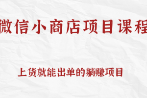 上货就能出单的微信小商店项目课程，坚持上新就有收入，完全躺赚！