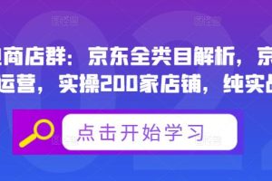 京东全类目解析，京东店群专业运营，实操200家店铺，纯实战经验