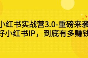 小红书实战营3.0-重磅来袭：做好小红书IP，到底有多赚钱？（价值7999元）