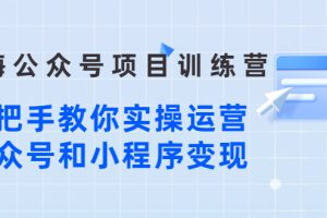 蓝海公众号项目训练营，手把手教你实操运营公众号和小程序变现