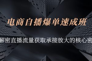 电商自播爆单速成班：解密直播流量获取承接放大的核心密码