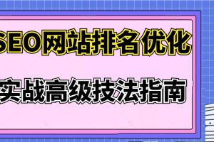 SEO网站排名优化实战高级技法指南，价值3980元