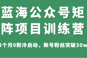 蓝海公众号矩阵项目训练营，2个月0粉冷启动，账号粉丝突破30w，价值1800元