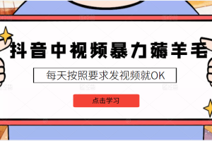 2022抖音中视频暴力薅羊毛白嫖项目，3天新号每天也有20块收益，可批量