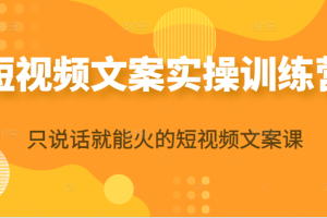 短视频文案实操训练营第16期，只说话就能火的短视频文案课（无水印）