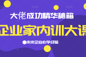 企业家内训大课，大佬成功精华秘籍首次揭秘，未来企业必学经验，价值1299元