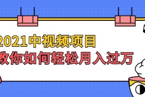 2021中视频项目，教你如何轻松月入过万，只讲核心，只讲实操，不讲废话