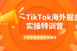 TikTok海外掘金实操特训营：手把手教运营变现赚钱【视频课程】