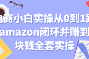 电商小白实操从0到1跑通amazon闭环并赚到一块钱全套实操