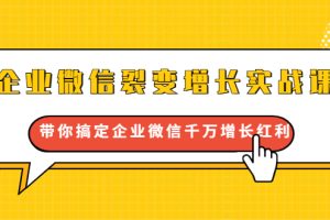 企业微信裂变增长实战课：带你搞定企业微信千万增长红利，新流量-新玩法（无水印）