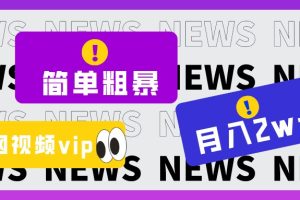 简单粗暴零成本，高回报，全网视频VIP掘金项目，月入2万＋