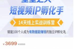 瑶瑶·自然流短视频IP孵化第二期，14天线上实战训练营，赋能100个人成为有数据能赚钱的独立IP孵化手