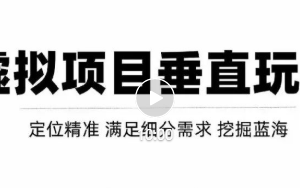 虚拟项目垂直细分类目玩法，新手快速起店，轻松月入上万！【视频教程】