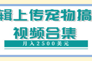 编辑上传宠物搞笑视频合集，就可以通过YouTube赚钱月入2500美元【视频教程】