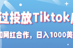 Tiktok赚钱项目：通过投放Tiktok广告，和网红合作，日入1000美元