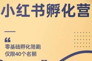勇哥小红书撸金快速起量项目：教你如何快速起号获得曝光，做到月躺赚在3000+
