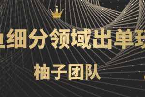 闲鱼细分领域暴力出单玩法，低成本轻松做到单号月入5000+【视频教程】