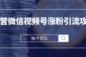 柚子团队内部课程：运营微信视频号涨粉引流攻略，轻松涨粉10W+【无水印】