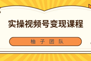 柚子团队内部课程：实操视频号变现课程，助你2021抓住赚钱风口