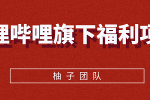 哔哩哔哩旗下福利项目，纯零撸赚钱，轻松日赚100+【视频教程】