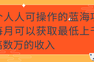 一个人人可操作的蓝海项目，每月可以获取最低上千，最高数万的收入【视频教程】