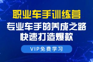 职业车手训练营：专业车手的养成之路，快速打造爆款（8节直播课）