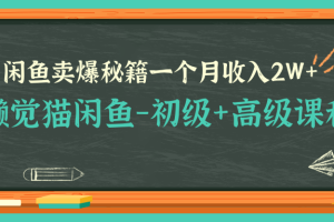 懒觉猫闲鱼-初级+高级课程，闲鱼卖爆秘籍，让你一个月收入2W+（完结）