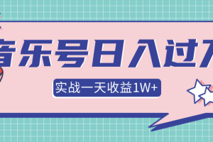 某团队内部项目，抖音音乐号多方面实战操作，一天收益10160元，月入30万+