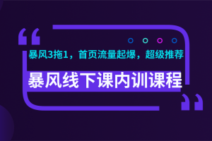 暴风线下课内训课程(暴风3拖1，首页流量起爆，超级推荐)视频+录音+文档