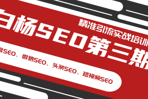 白杨SEO第三期精准引流实战培训（百度SEO、微信SEO、头条SEO、短视频SEO）