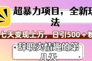 超暴利项目，全新玩法（辞职卖情趣的第几天），七天变现上万，日引500+粉【揭秘】