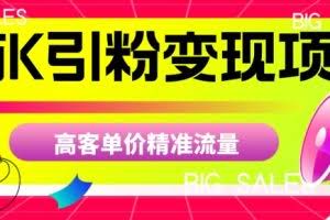 商K引粉变现项目，高客单价精准流量【揭秘】