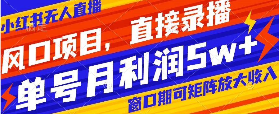 风口项目，小红书无人直播带货，直接录播，可矩阵，月入5w+【揭秘】插图