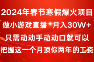 （8721期）2024年春节寒假爆火项目，普通小白如何通过小游戏直播做到月入30W+