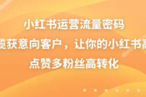 小红书运营流量密码，揽获意向客户，让你的小红书高点赞多粉丝高转化
